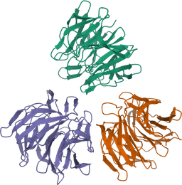 Aclipse Therapeutics logo