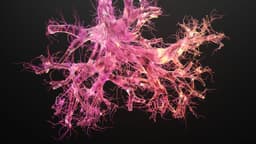 NeuroSolv Therapeutics logo