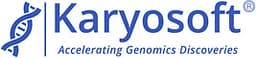 Karyosoft logo