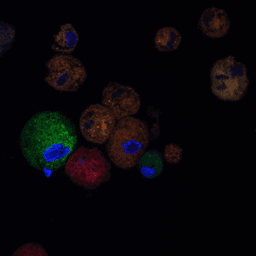 Dystrogen Therapeutics logo