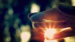 Progenicyte Therapeutics logo