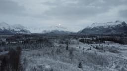 Northwest PK Solutions logo