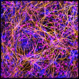 Lyterian Therapeutics logo