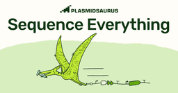 Plasmidsaurus logo