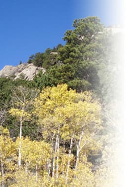 Summit Toxicology logo