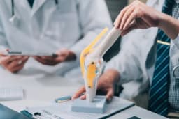 Ibex Preclinical Research logo