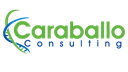 Caraballo Consulting logo