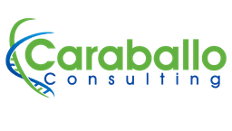 Caraballo Consulting logo