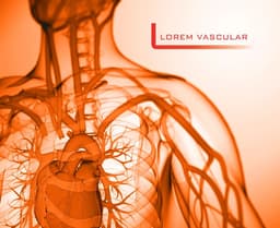 Lorem Vascular logo