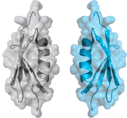 Dextera Biosciences logo