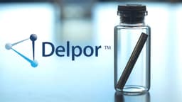 Delpor logo