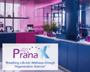 PranaX logo