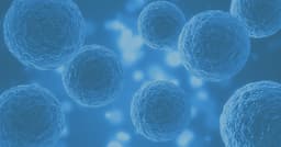 Biostor Ireland logo