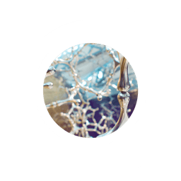 Hypha Discovery logo