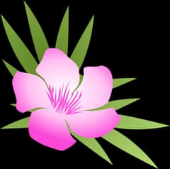 Oleander Medical Technologies logo