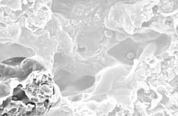 Montis Biosciences logo