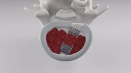 Kleiner Device Labs logo