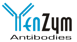 YenZym Antibodies logo