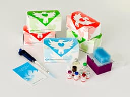 Phoenix Pharmaceuticals logo