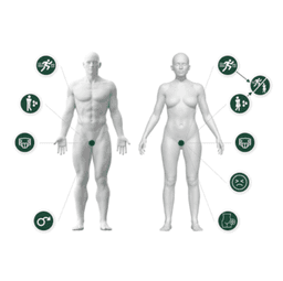 Juniper Biomedical logo