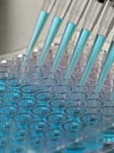 New Horizons Diagnostics logo