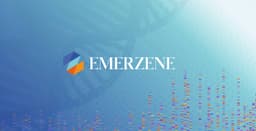 Emerzene logo