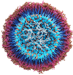 QurCan Therapeutics logo