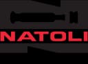 Natoli Engineering logo