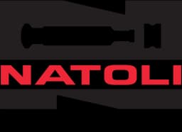 Natoli Engineering logo