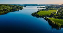 Bluefish Pharmaceuticals logo