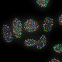 Bruker Spatial Genomics logo