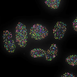 Bruker Spatial Genomics logo