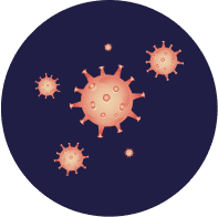 IBT Bioservices logo