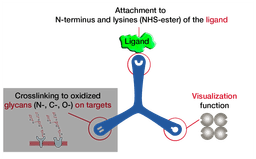 Dualsystems Biotech logo