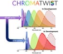 ChromaTwist logo