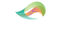 NeuroGT logo