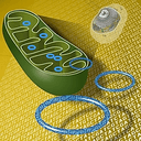 Luciole Pharmaceuticals logo