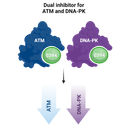 XRad Therapeutics logo