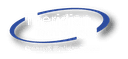 Theridian Technologies logo