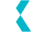 NeuroMetrix logo