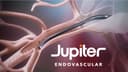 Jupiter Endovascular logo