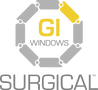 GI Windows logo
