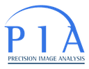 Precision Image Analysis logo