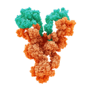 Cessation Therapeutics logo