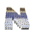 Nestor Pharmaceuticals logo