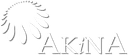 Akina logo