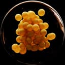 Atrandi Biosciences logo