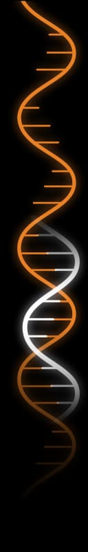 HAYA Therapeutics logo