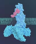 Kailera Therapeutics logo