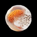 Aqur Biosciences logo